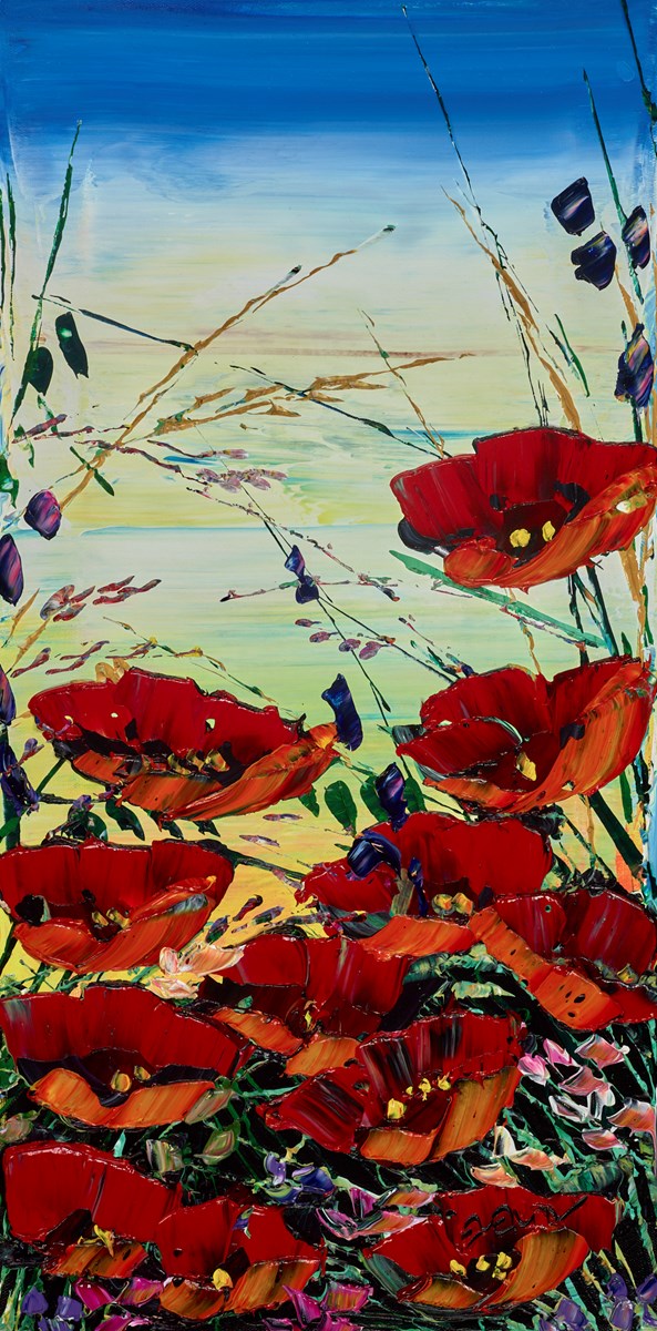 Poppies in Bloom